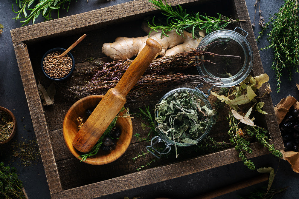 adaptogenic herbs